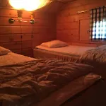 Metsorinne * Kotila