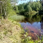 Metsorinne Kotila