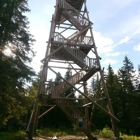 Metsorinne Kotila