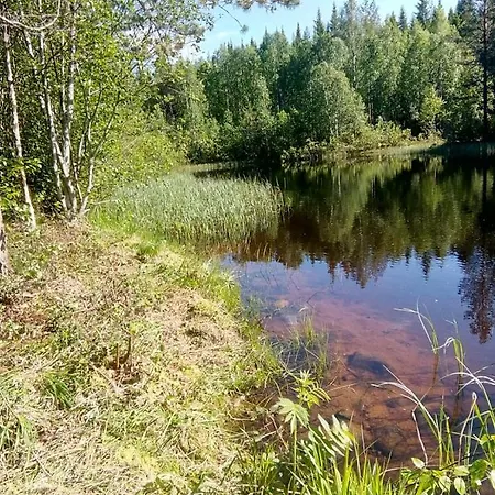 Metsorinne Kotila