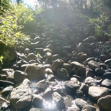 Metsorinne Апартаменты Kotila