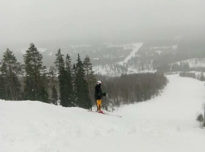 Apartament Metsorinne